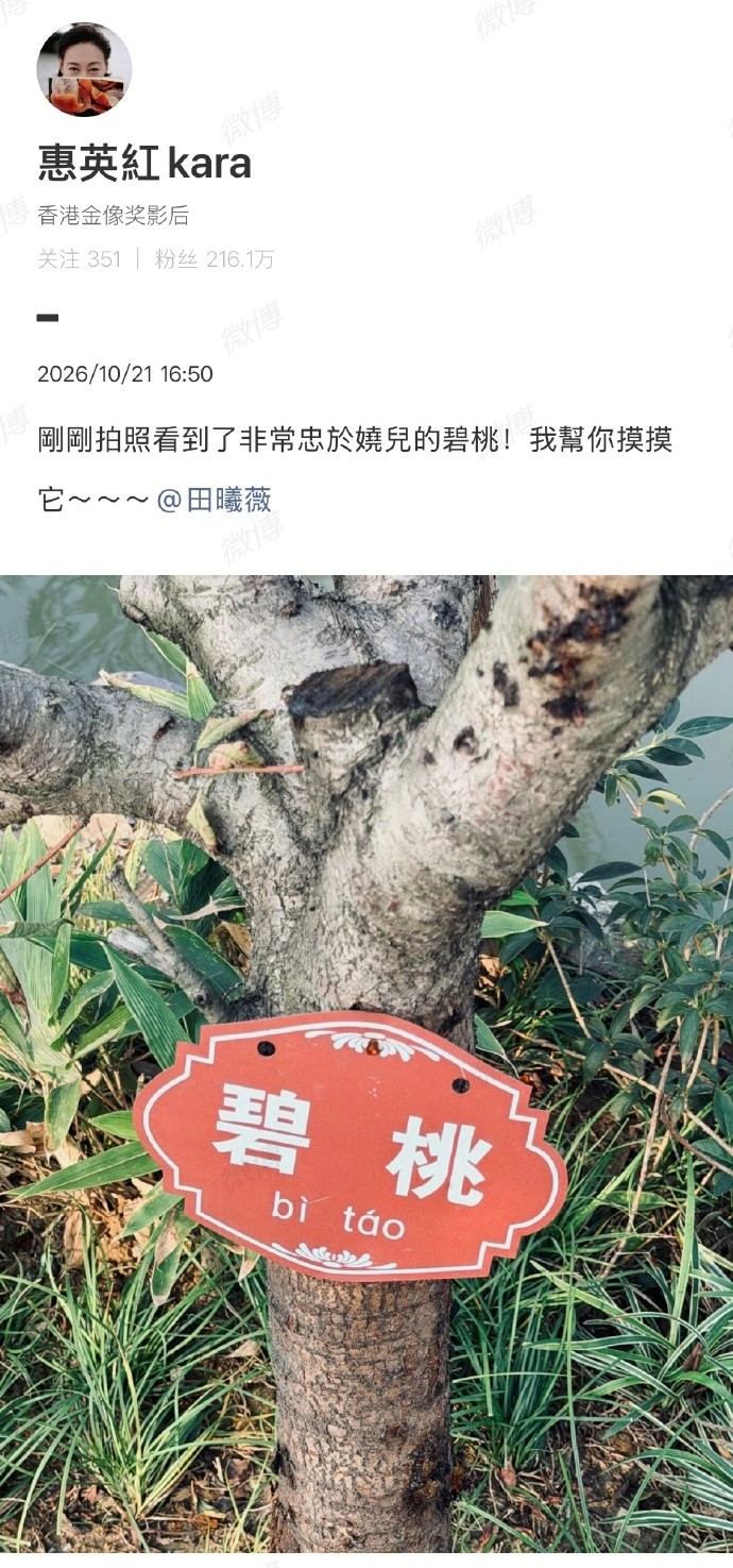 【惠英红晒碧桃艾特田曦薇】惠英红也在看嫁金钗 10月21日，惠英红发文：刚拍照看到了非常忠于娆儿的碧桃！我帮你摸摸它～  魏娆终于跟母亲相认了

田曦薇主演剧集《嫁金钗》热播中，你看了吗？