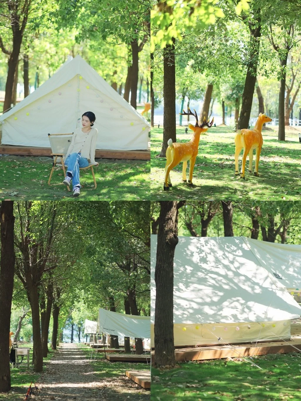 武汉新晋露营地❗️一站式拎包住进森林秘境