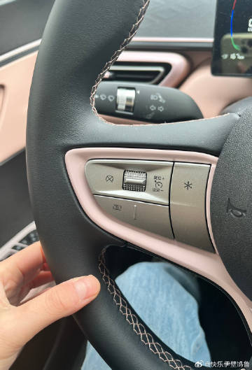 需要方向盘加热<span class="url-icon"><img ...