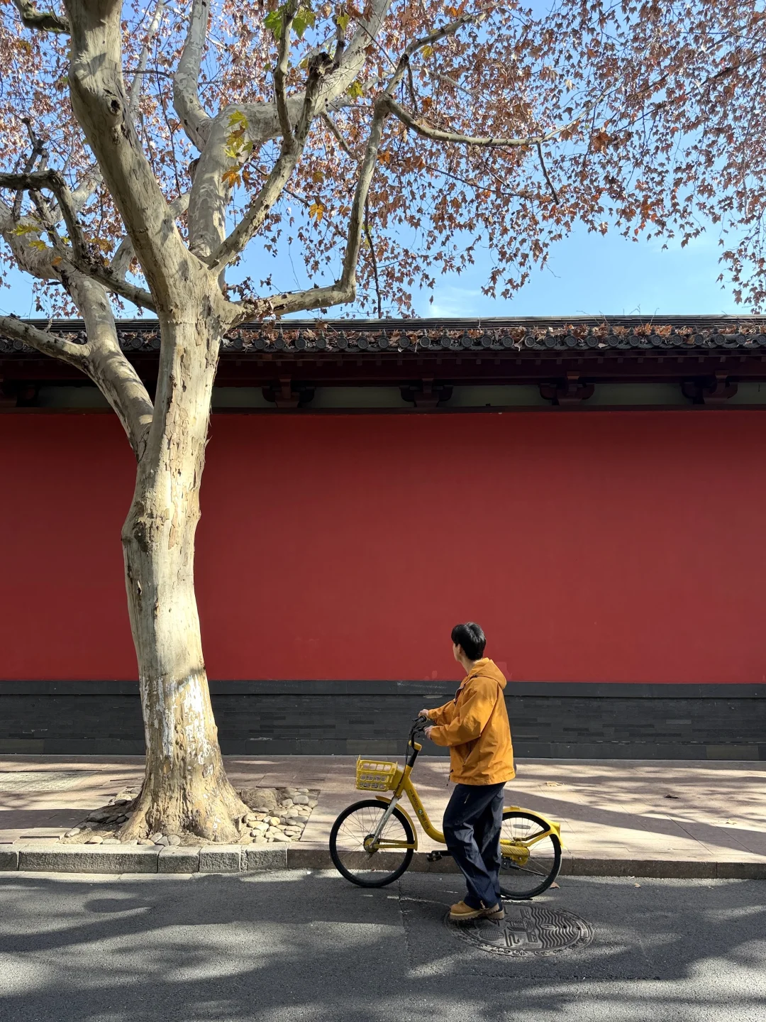 本地人推荐的杭州跨年citywalk路线（不废腿