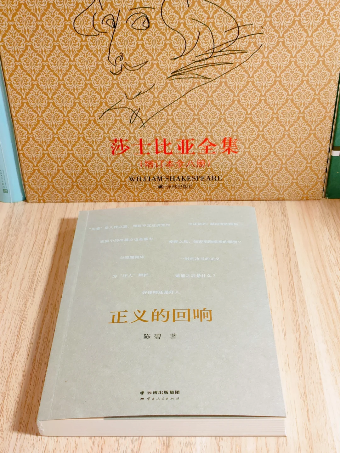 安利亿遍！该怎么告诉你这本书有多好😭