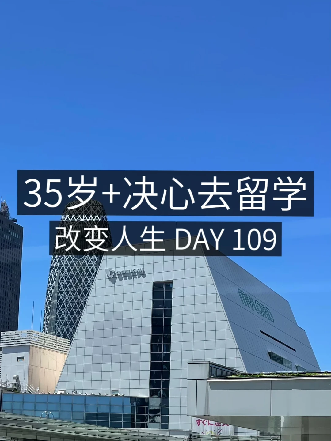 35岁+女青年留学✈️ 沉浸式做了一天阅读📖