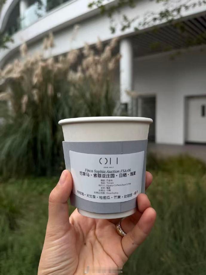 昨天早起一杯麦当劳冰美式去那个咖啡节又喝了四杯咖啡吧总共喝了五杯咖啡下午六点多困得不行了又喝一杯总共喝了六杯冰美式和手冲晚上十点半沾床就睡了神奇玩意这杯680的咖啡必须再出现一次 ​​​