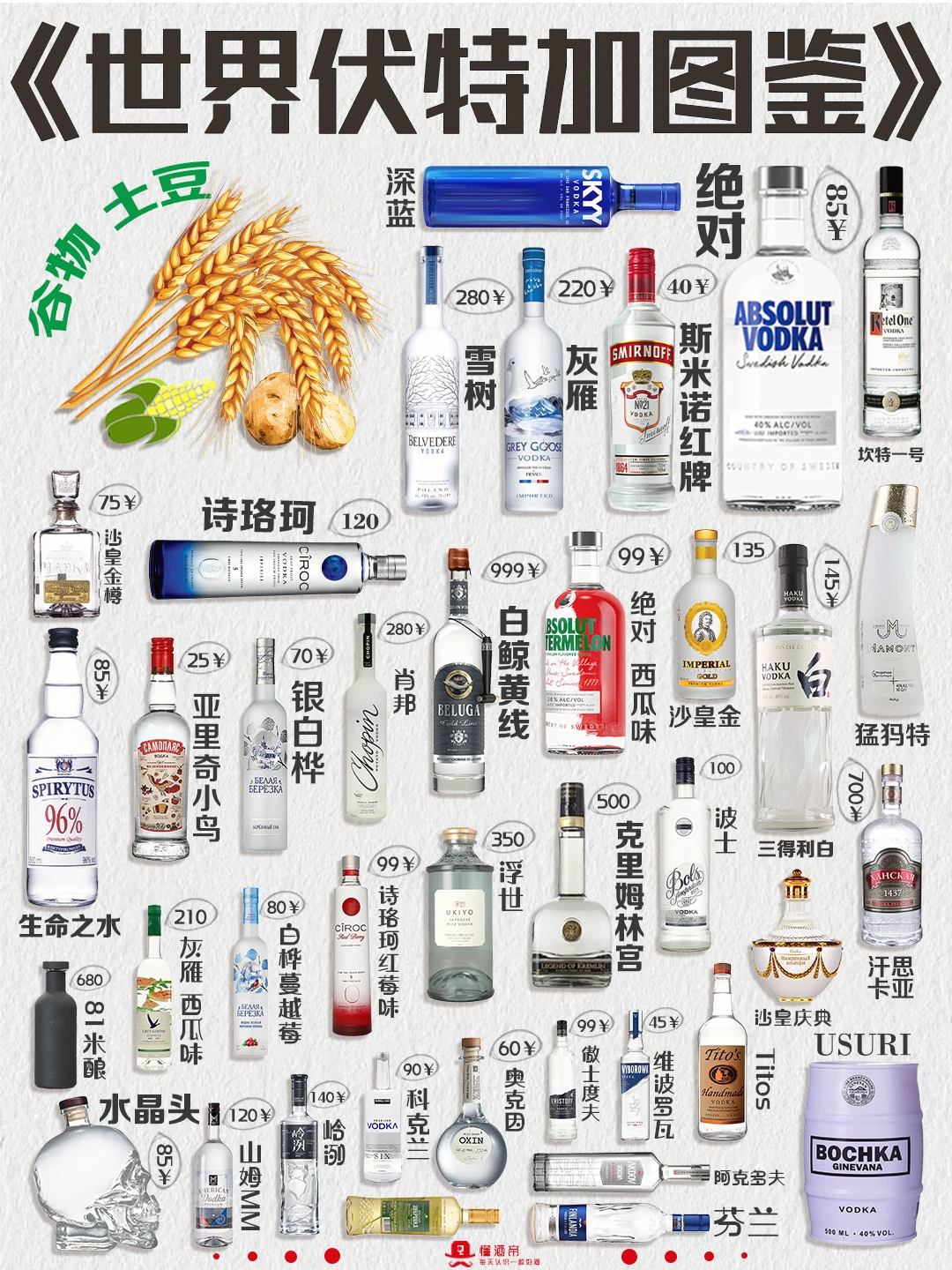《世界伏特加图鉴》🥃一篇超全伏特加介绍