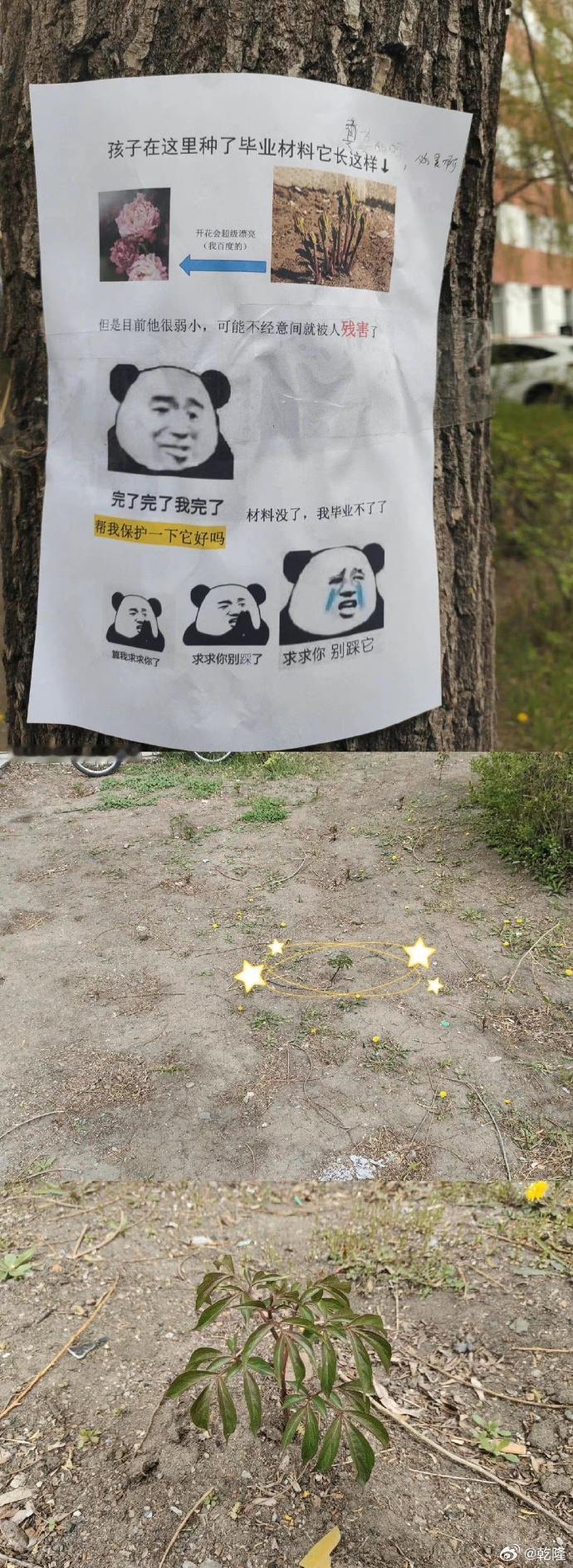 这不注意真的看不到啊[允悲] ​​​