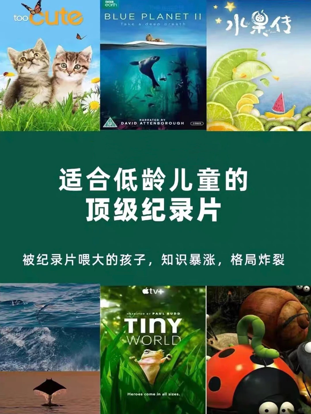 8部央视推荐儿童纪录片，唤醒好奇心与想象力
