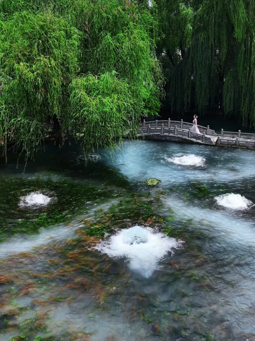 当我用课本打开济南，李清照泉水里的家
