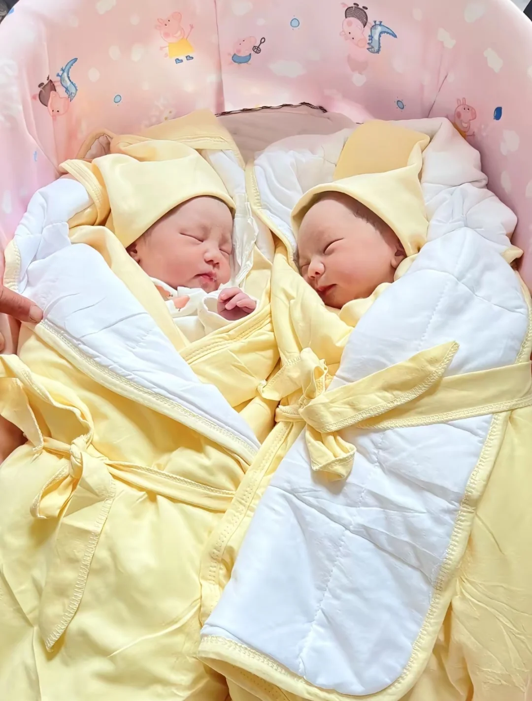 双胞胎的成长日记，高光时刻大放送