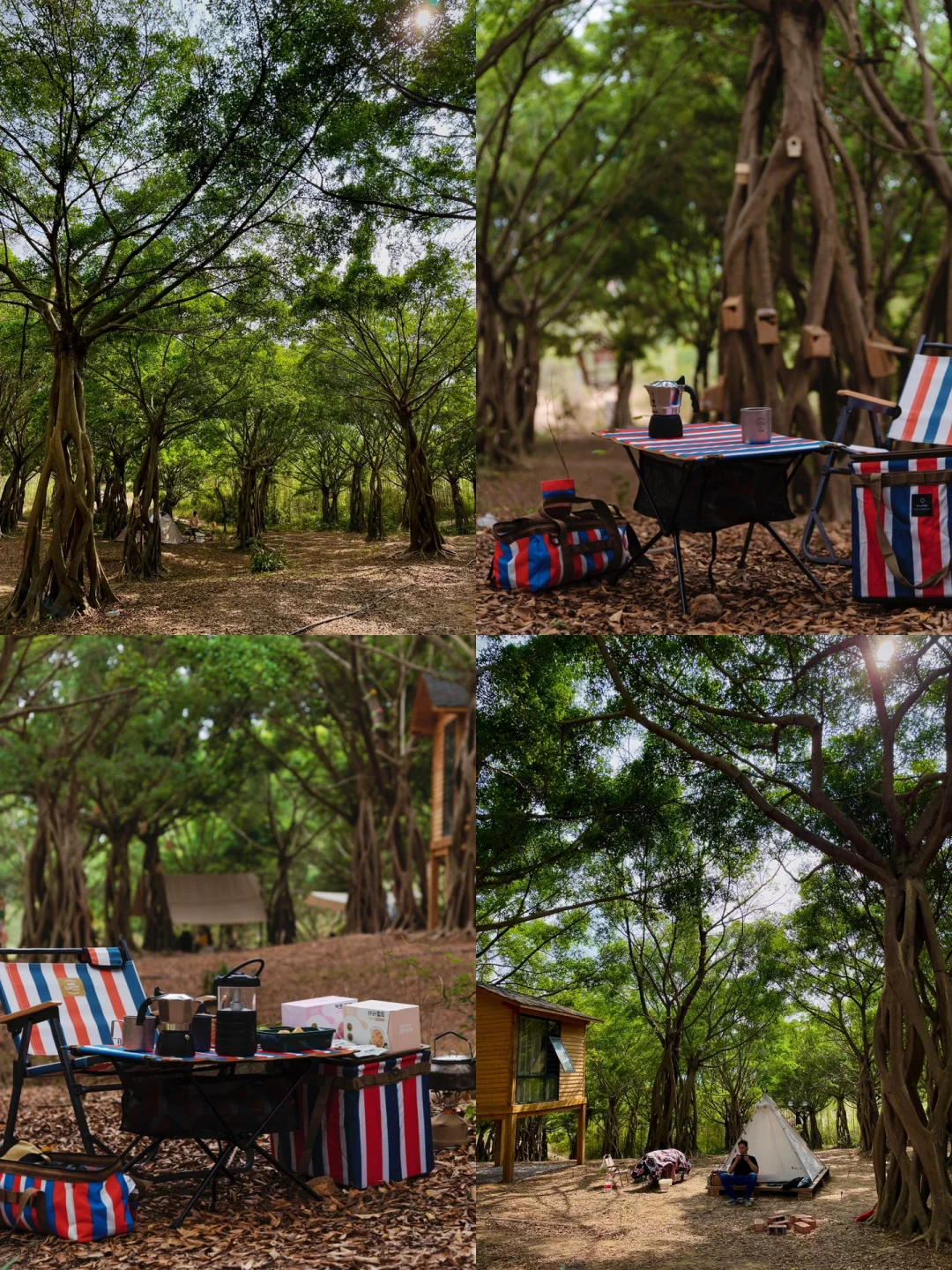 南宁周边1h内车到魔法森林露营|附攻略