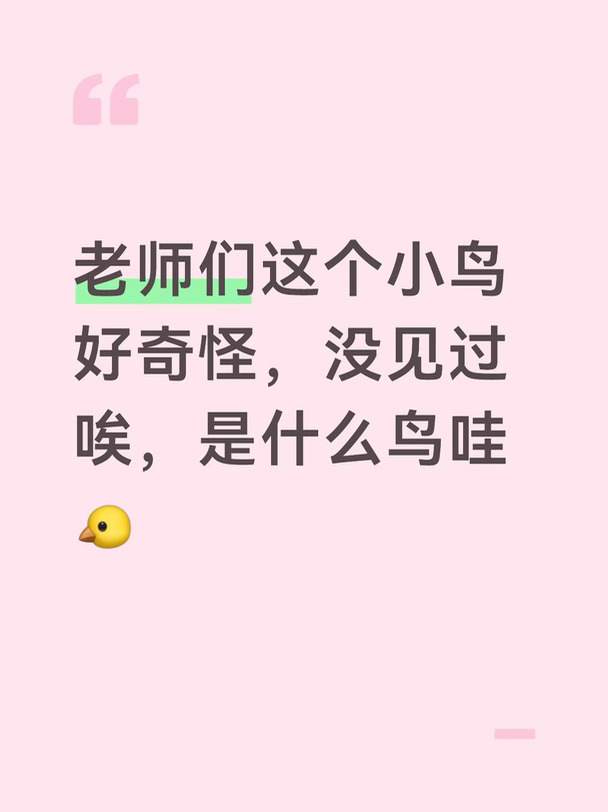 这又是一个（帮我）认鸟帖