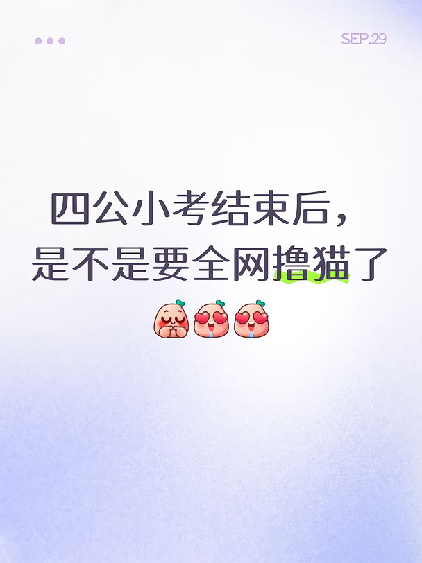 白日猫