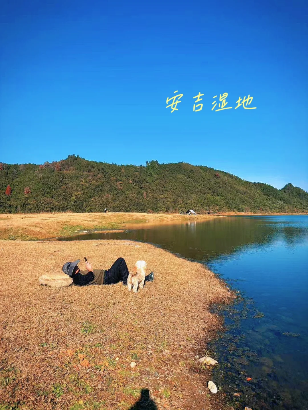 安吉亲子游🌿湿地露营+烧烤！野生氧吧