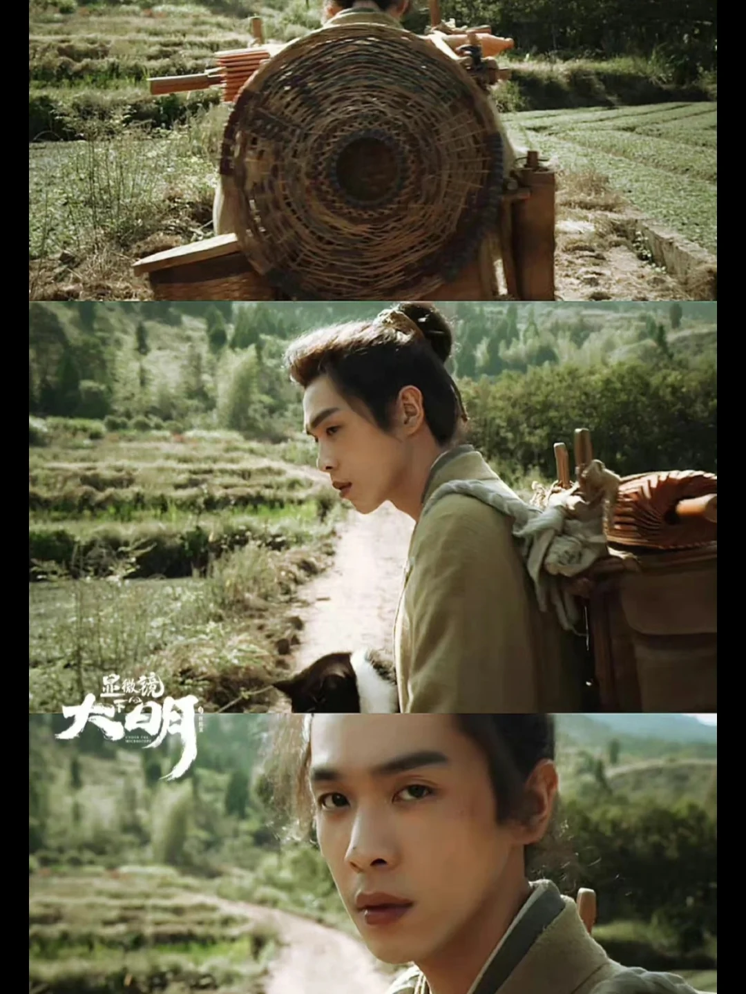 🆘张若昀❌王阳 古装悬疑题材❗太上头了