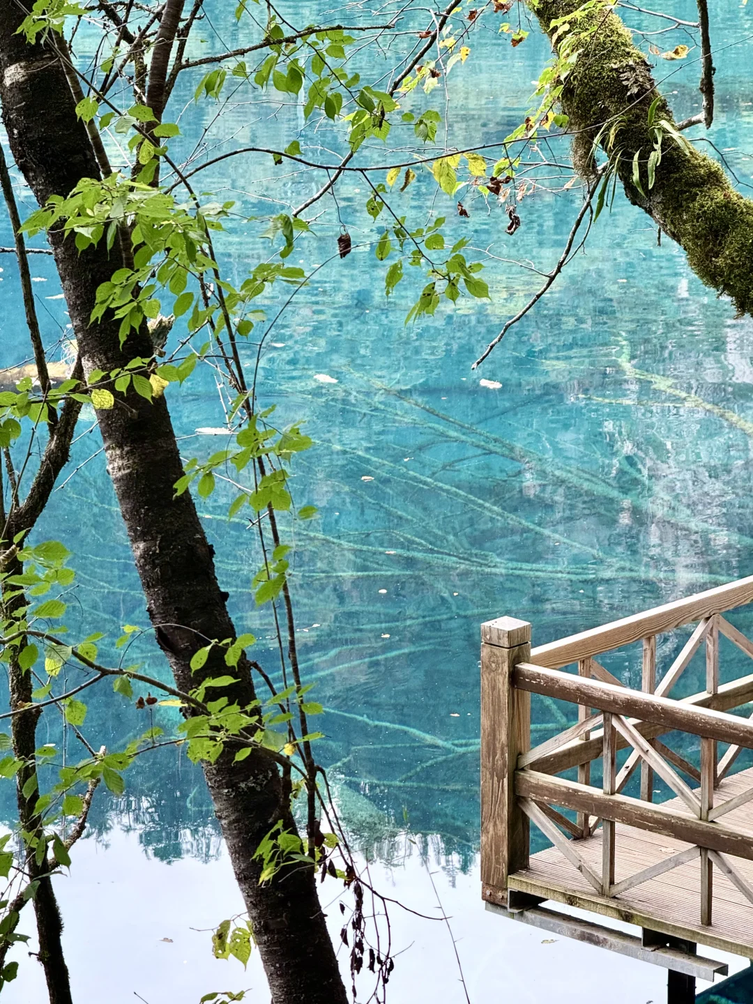 可以交换一张晴天的九寨沟live吗🥹