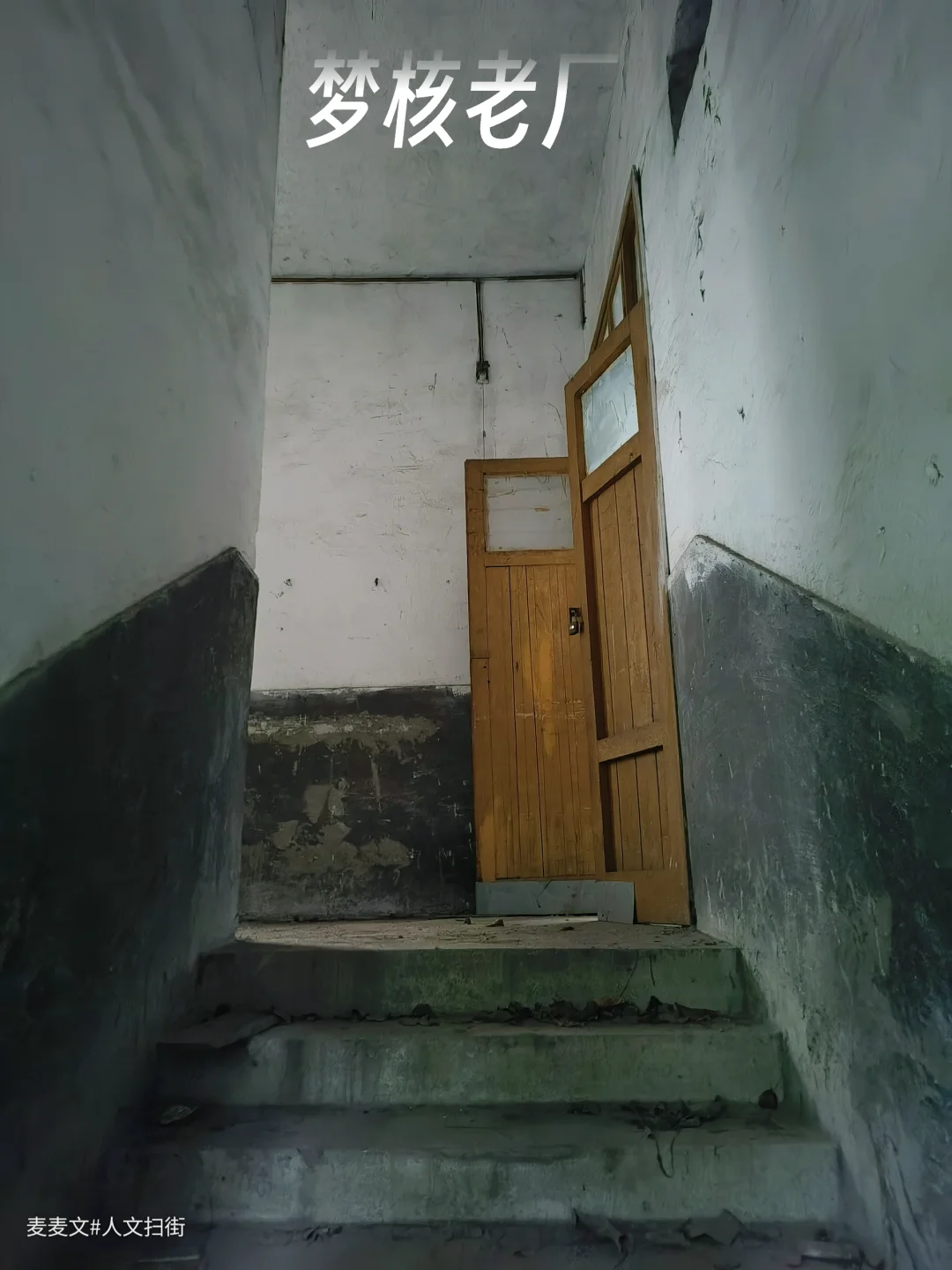 【南岸】探秘一座藤蔓缠绕的神秘废弃老厂