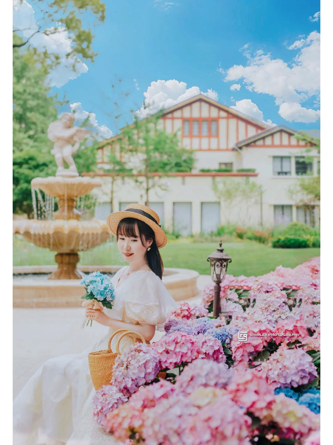 上海这座法式浪漫花园开放啦！绣球花正满开