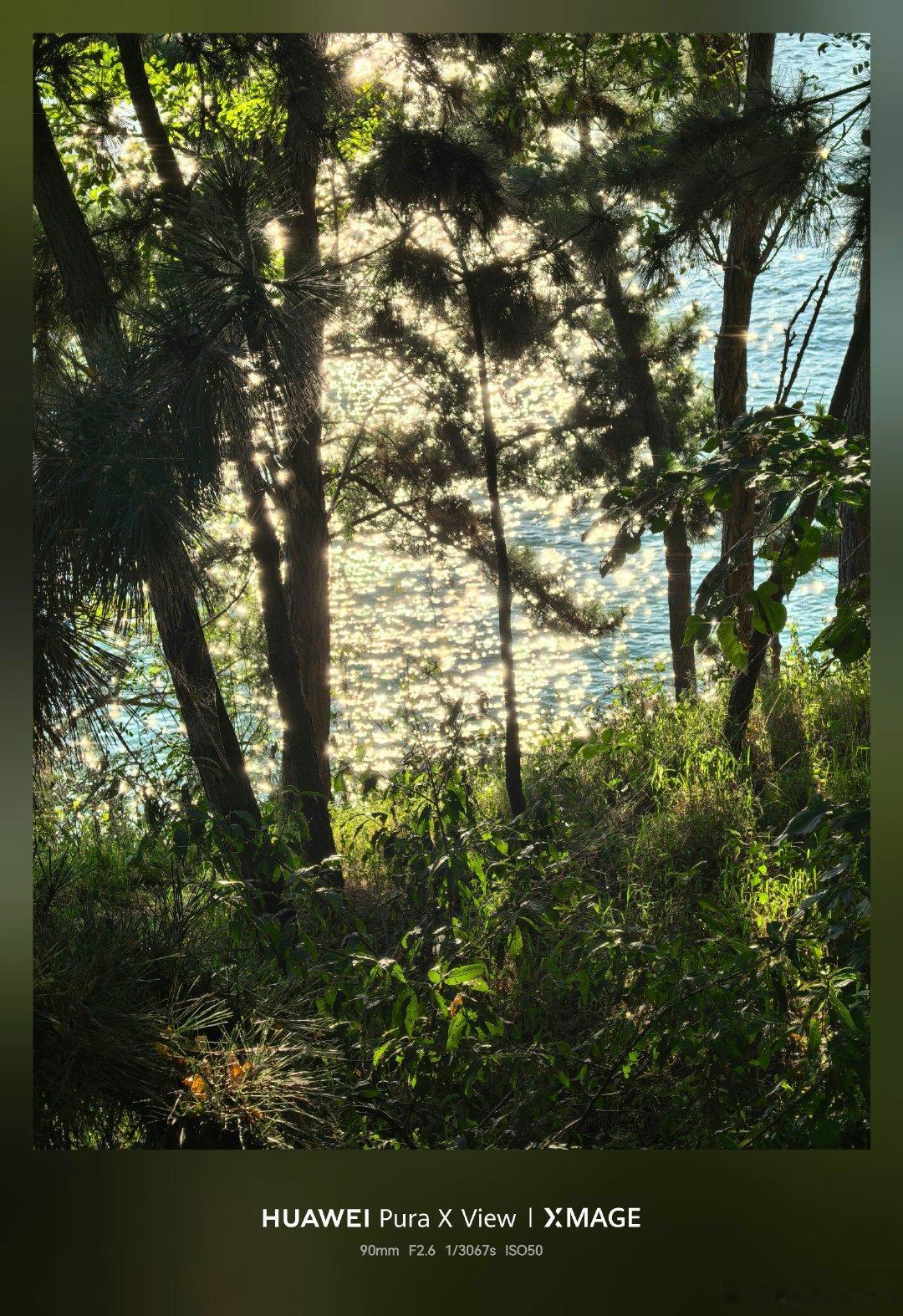 夏天的尾巴
当清晨的微风穿过山海间

📷Pura X View

#微博影像年##人间着色#  ​