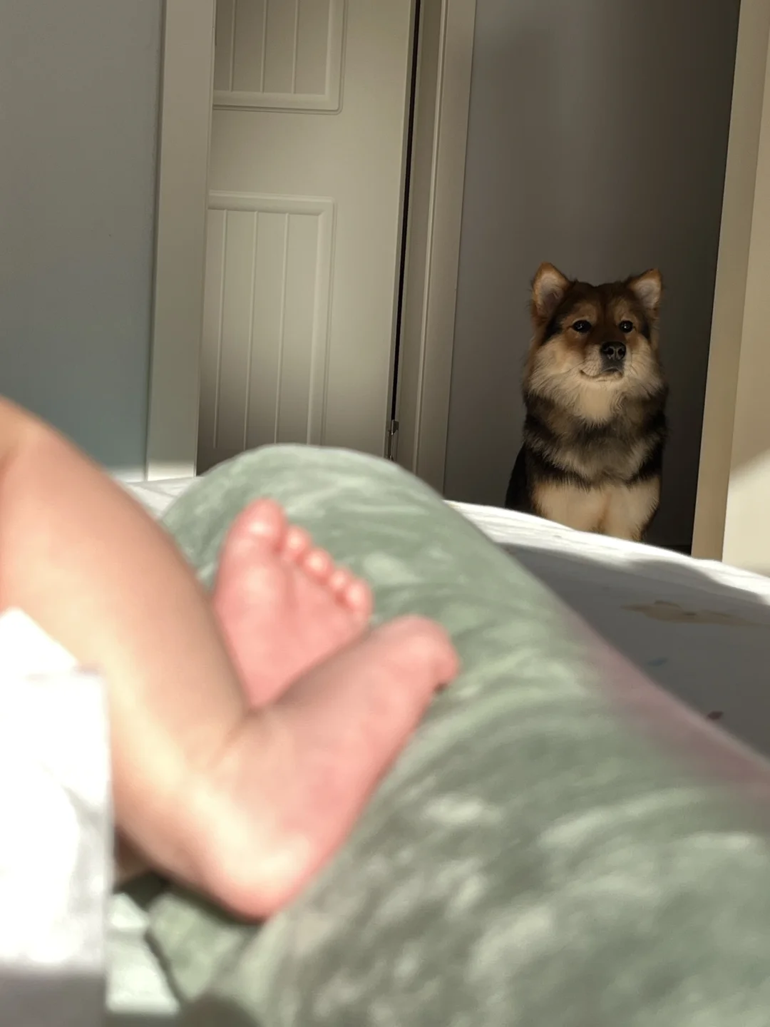 我龙傲天要誓si守护刘波～