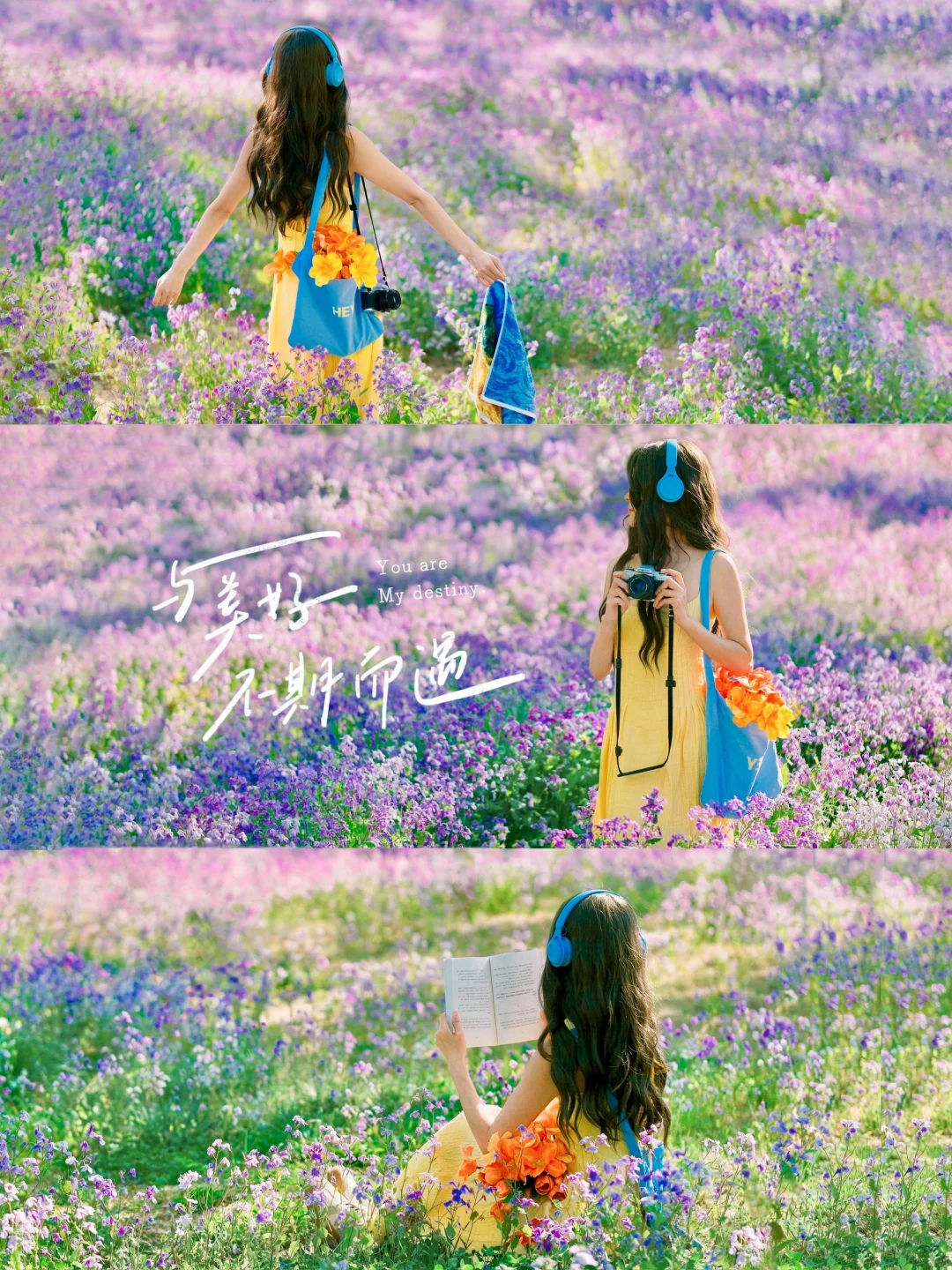 终于知道怎么调出初夏清透感啦|附手机教程