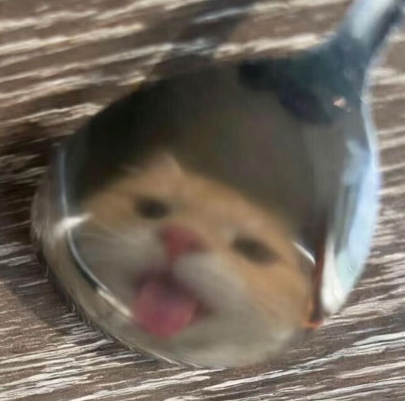 🐈⬛‧₊审咪积累˚⋆☆₊金秋壁纸大放送