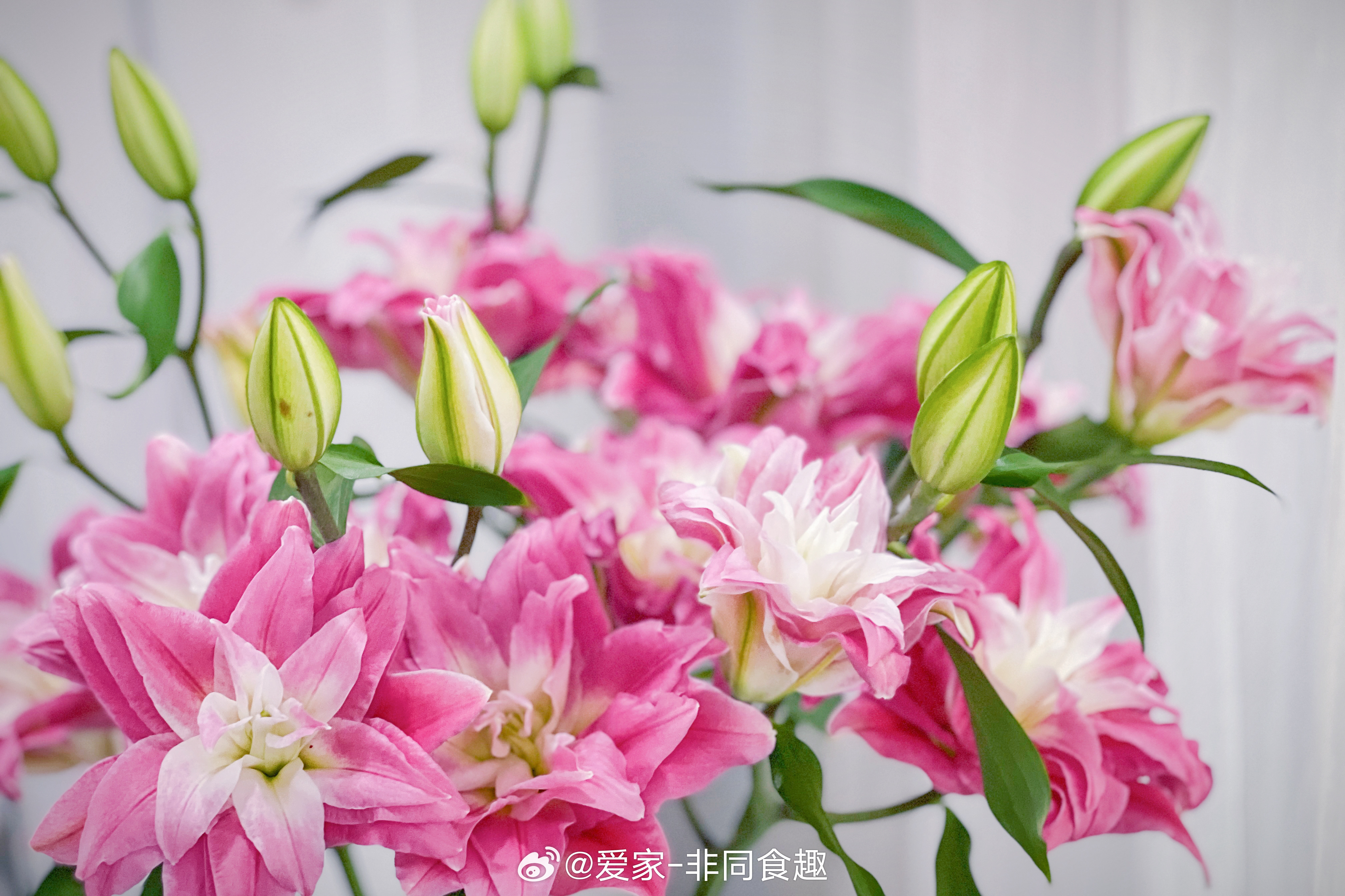 爱家非同食趣 伪减脂餐2336Day周3好最近颈椎不给力，老铁都懂的供血不足支楞着烧份豆腐牛肉片，绝对的鲜美室友超市买的腌鱼还行还好买的花到了，加点元气日常日常家的模样新星V计划爱笑夏令营萌宠出道季美好生活守护家我是精致生活家美食不可辜负的美食不可辜负的美食家常菜我的减脂餐我的减脂餐美食治愈系早餐午餐宠物的高萌常超能新星汇夏日⼁视界咖啡人间治愈时刻日常碎片plog