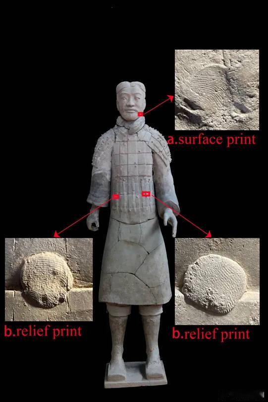 #秦始皇兵马俑上发现女性指纹# 

解开我，最神秘的等待……

据科学考古原理，女性指纹纹线更细密、密度更高，男性纹线更宽厚稀疏，未成年人指纹纤细稚嫩、纹路更浅。  ​