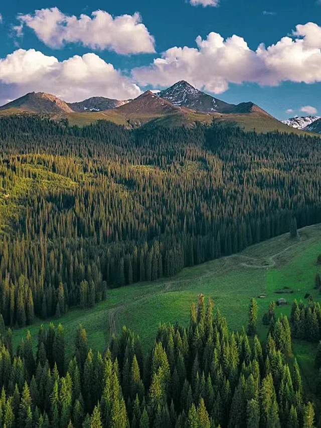 新疆|特克斯八卦城|赛里木湖|那拉提草原