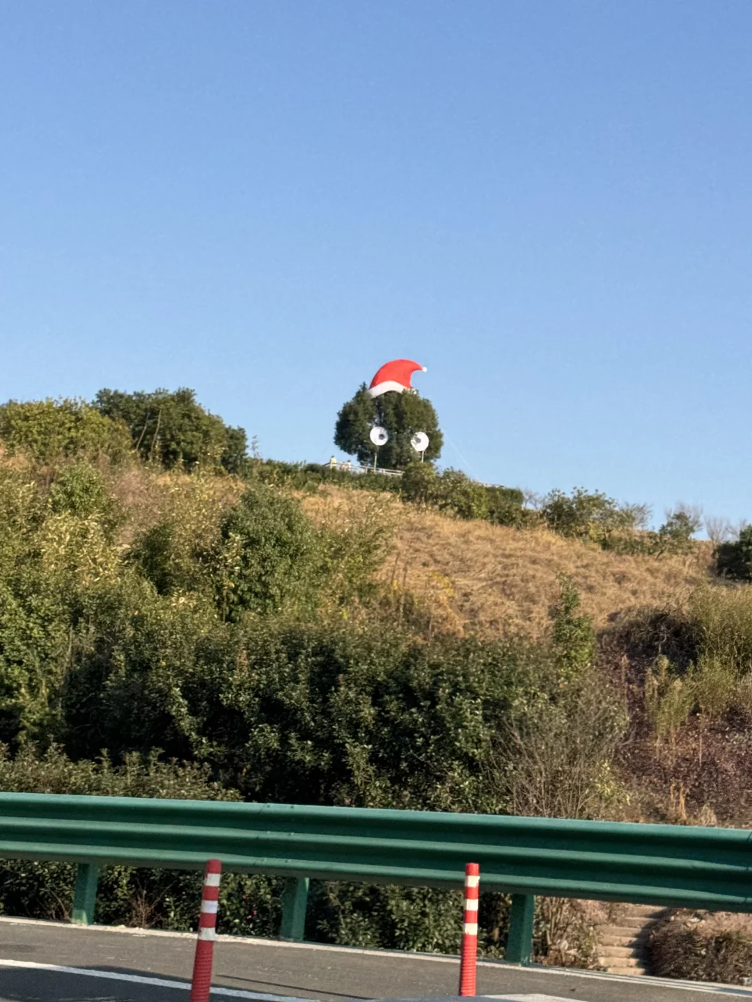 宁波溪口…好诡异的精神状态🎄