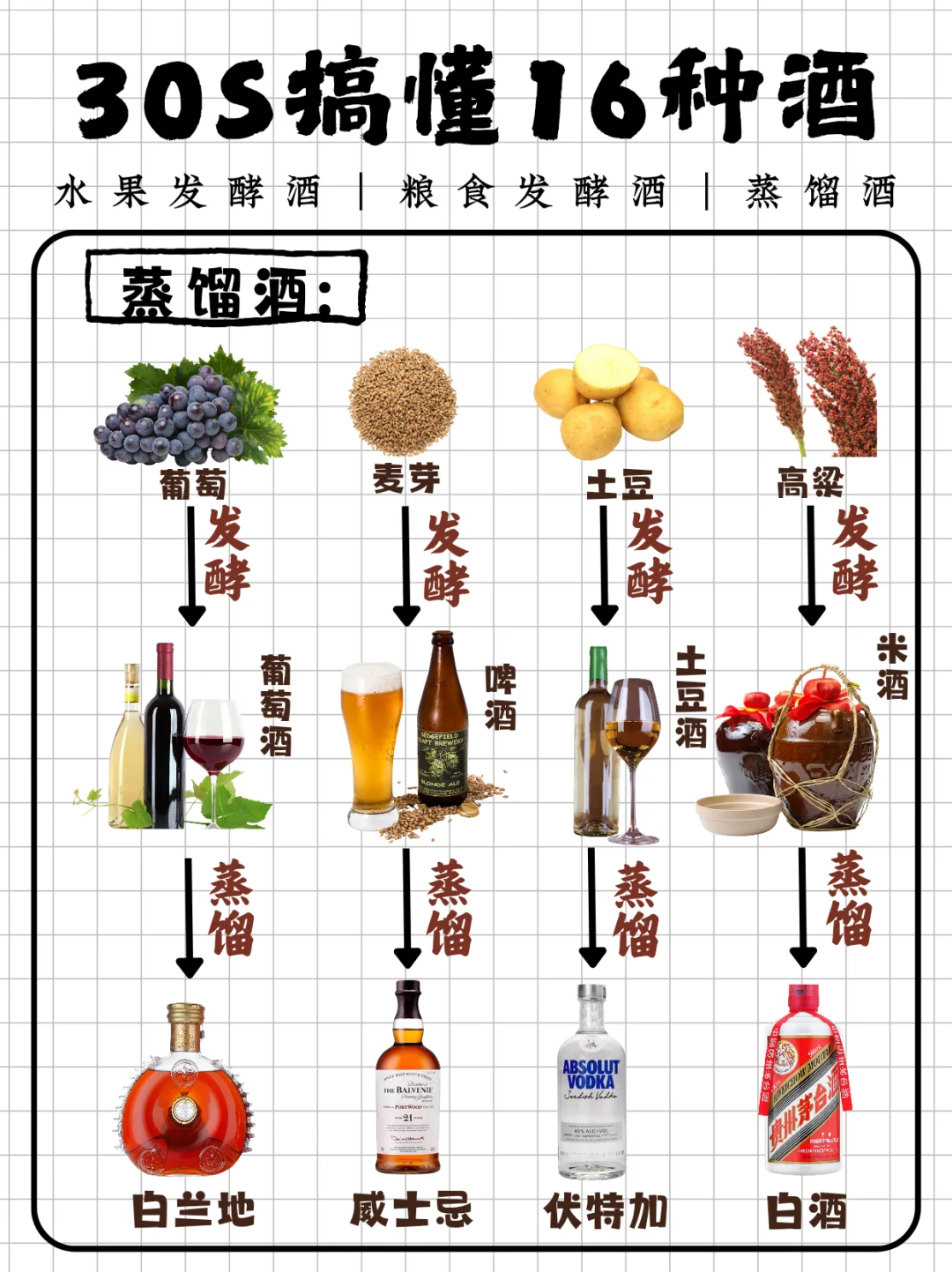纯干货📚30s轻松搞懂16种酒～收藏就完了