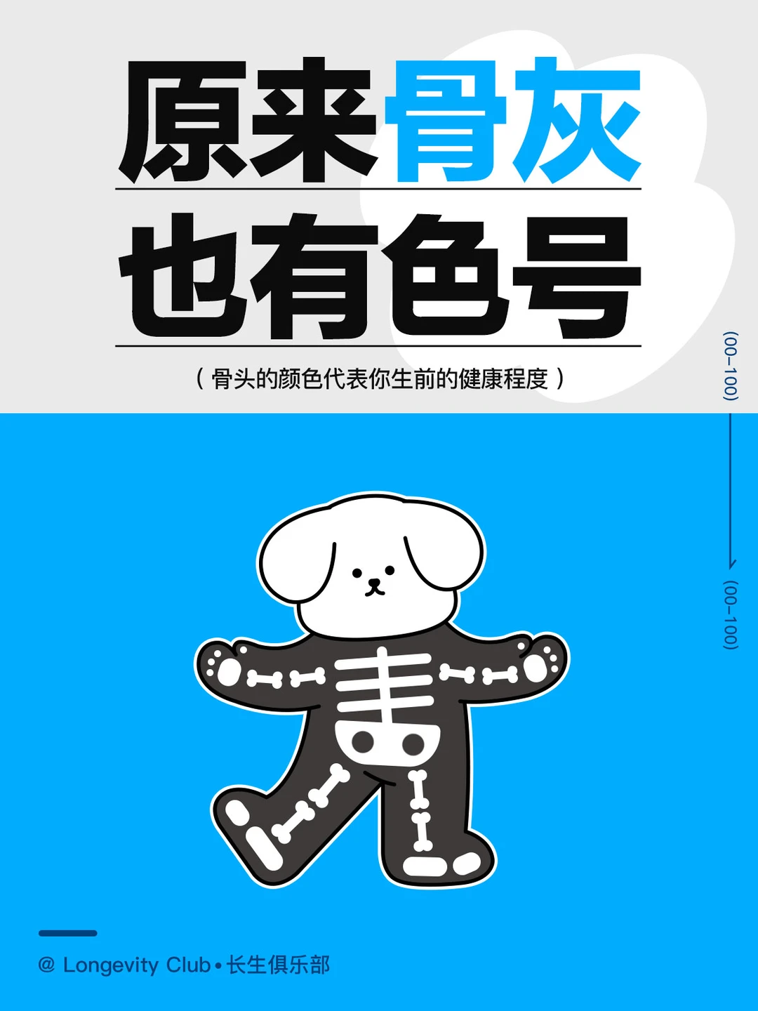 原来骨灰也有色号？你选哪个？