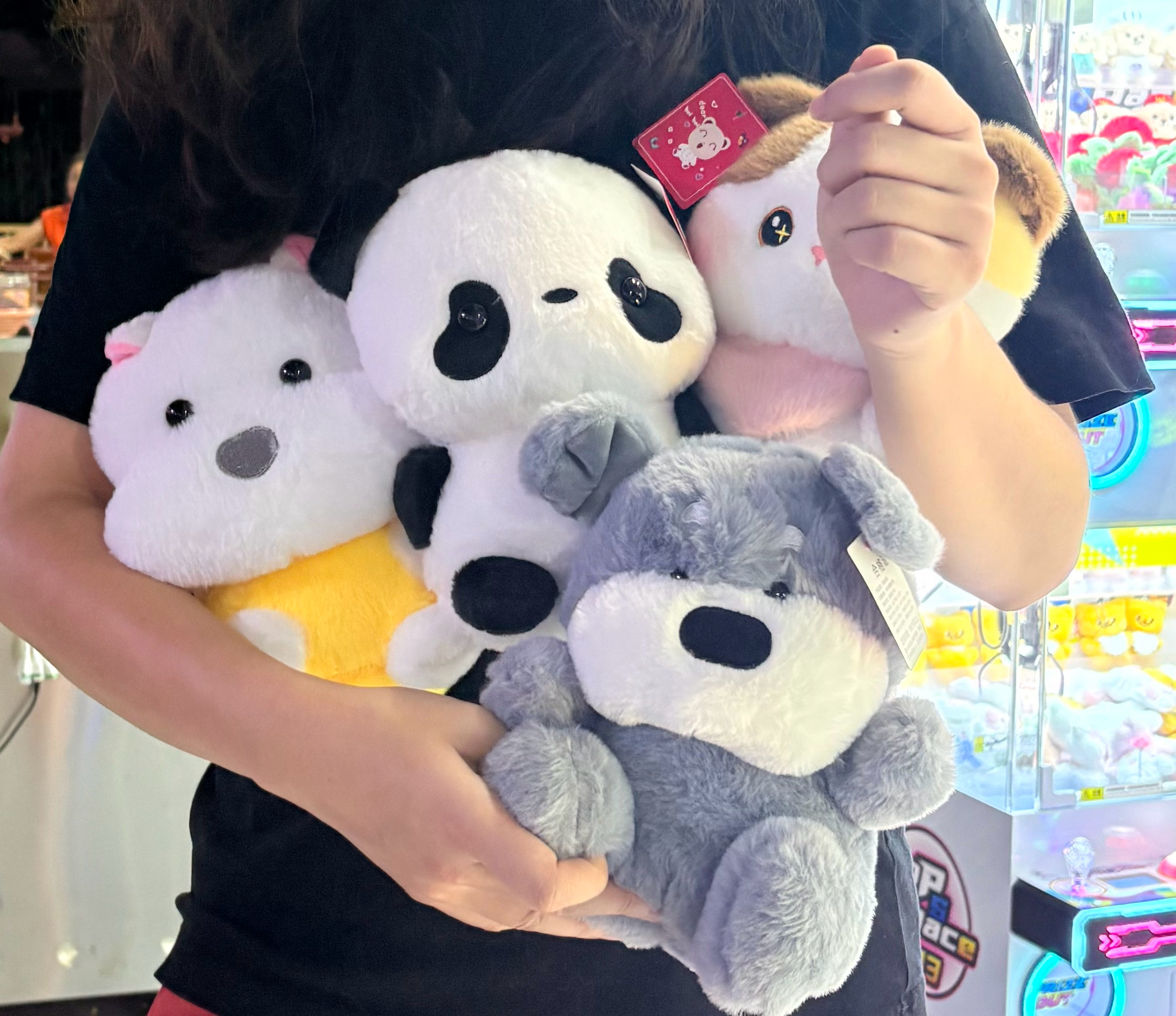 和老婆去二刷奥德赛，因为出发前没给电动车把电充够，回程时还在叨叨着“这属于我命由天不由我的倾向命题，因为天是宙斯的天，海是波塞冬的海”就突然没电了，于是下车充电逛公园，刚好来到人民公园附近，看到儿童乐园里有娃娃机，随便买了20个币，原计划就抓抓情绪价值，争取抓起来1个，结果抓起来4个 ​