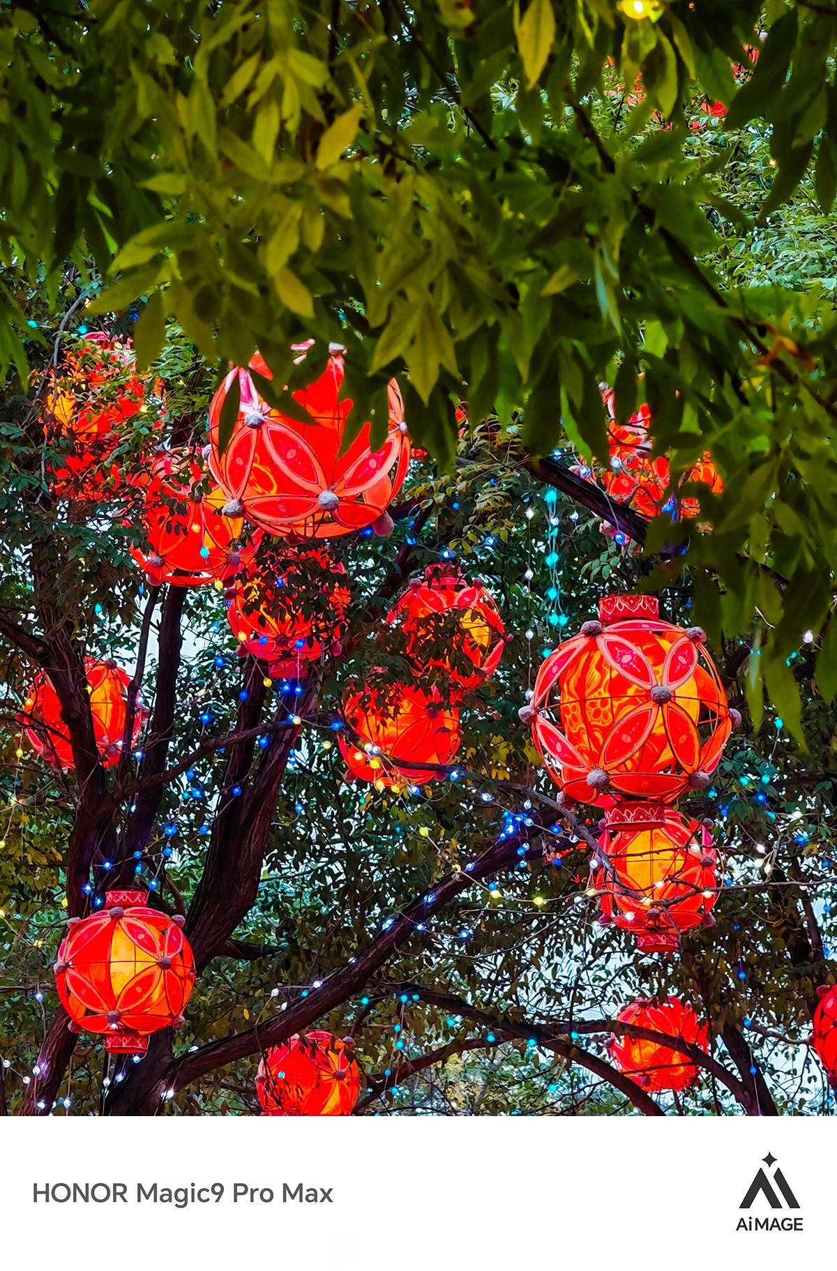 华灯初上，汴京入梦🏮
当清明上河园的夜幕降临，满树流光溢彩，仿佛一秒穿越回了繁华的大宋。
竹编的雅致温润，红灯笼的热烈喜庆，还有那如梦似幻的红枫大道，一步一景，皆是宋风雅韵；一灯一影，尽显人间烟火。
#在清明上河园入画大宋##象往的开封之旅##微博旅游之夜# 
MEMORYIMAGE©️📷 手机摄影 ​