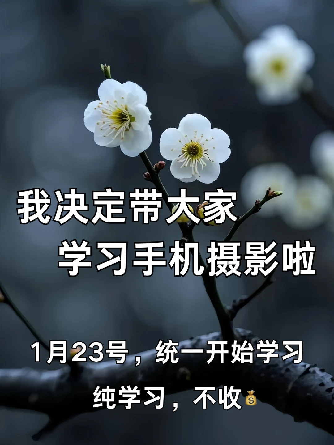 我决定带大家学习手机摄影啦！！