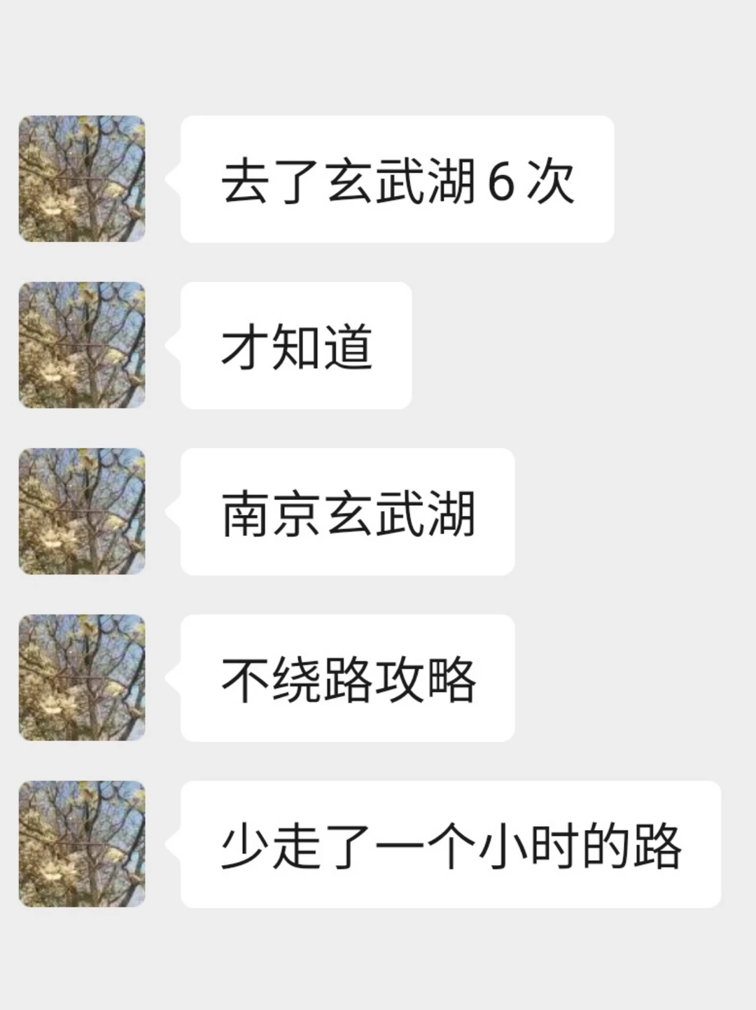 谁懂啊！去了 6 次玄武湖才知道的不绕路路线