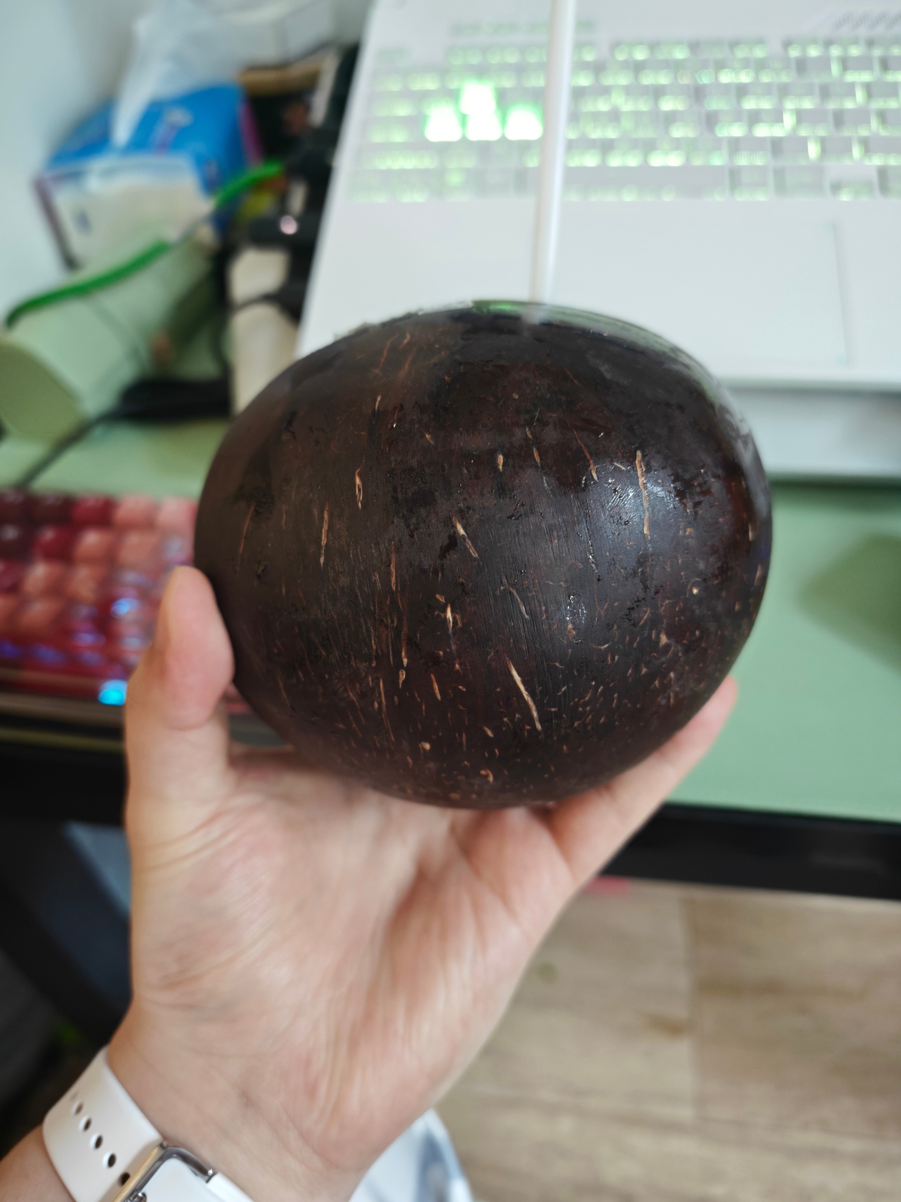 吃遍所有椰子!🥥 ​​​