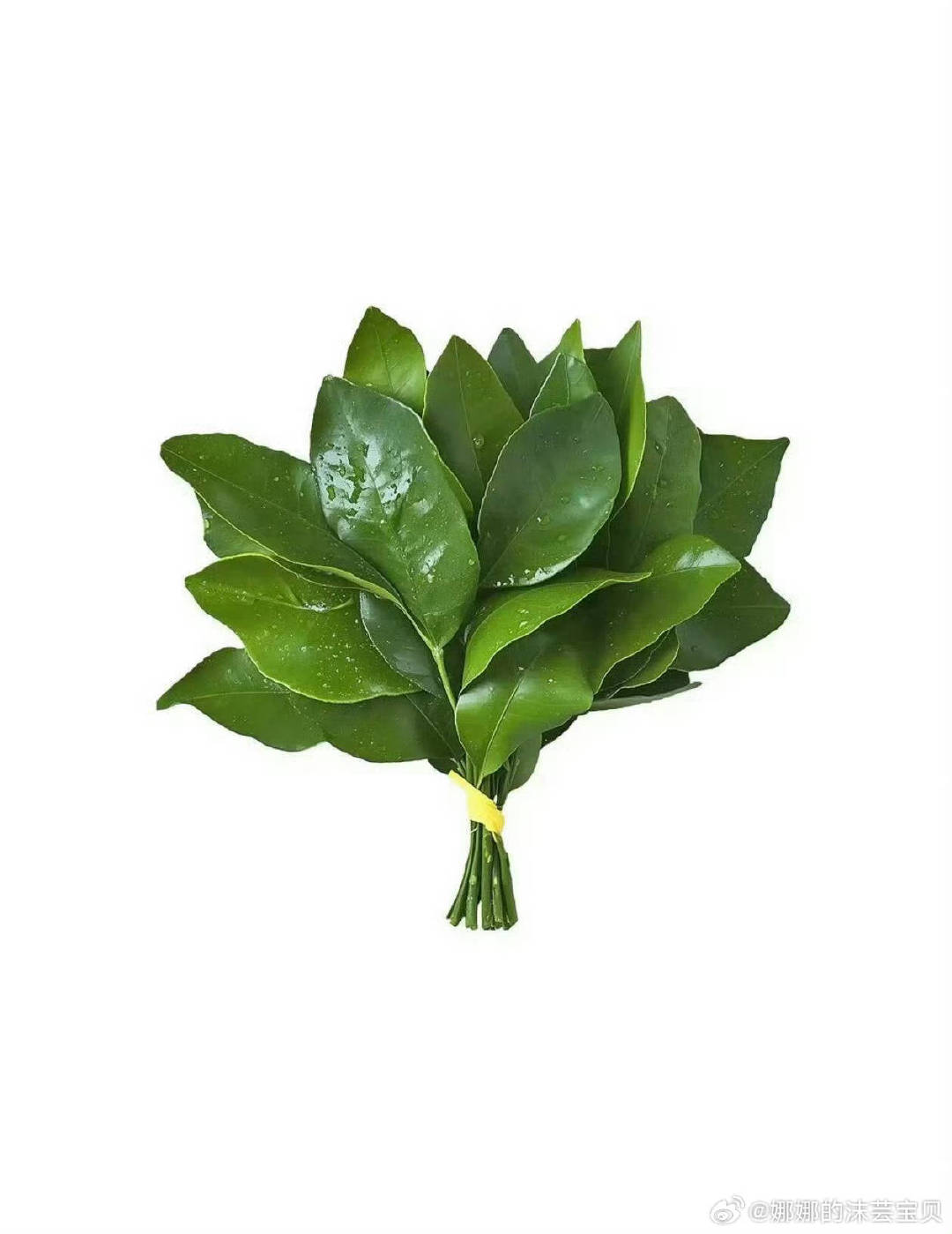 #任嘉伦[超话]##曝景甜张继科介绍人是任嘉伦#？？？
最近是撞鬼了吗，点这么背！！！
安安静静躺着也背锅？！ ​