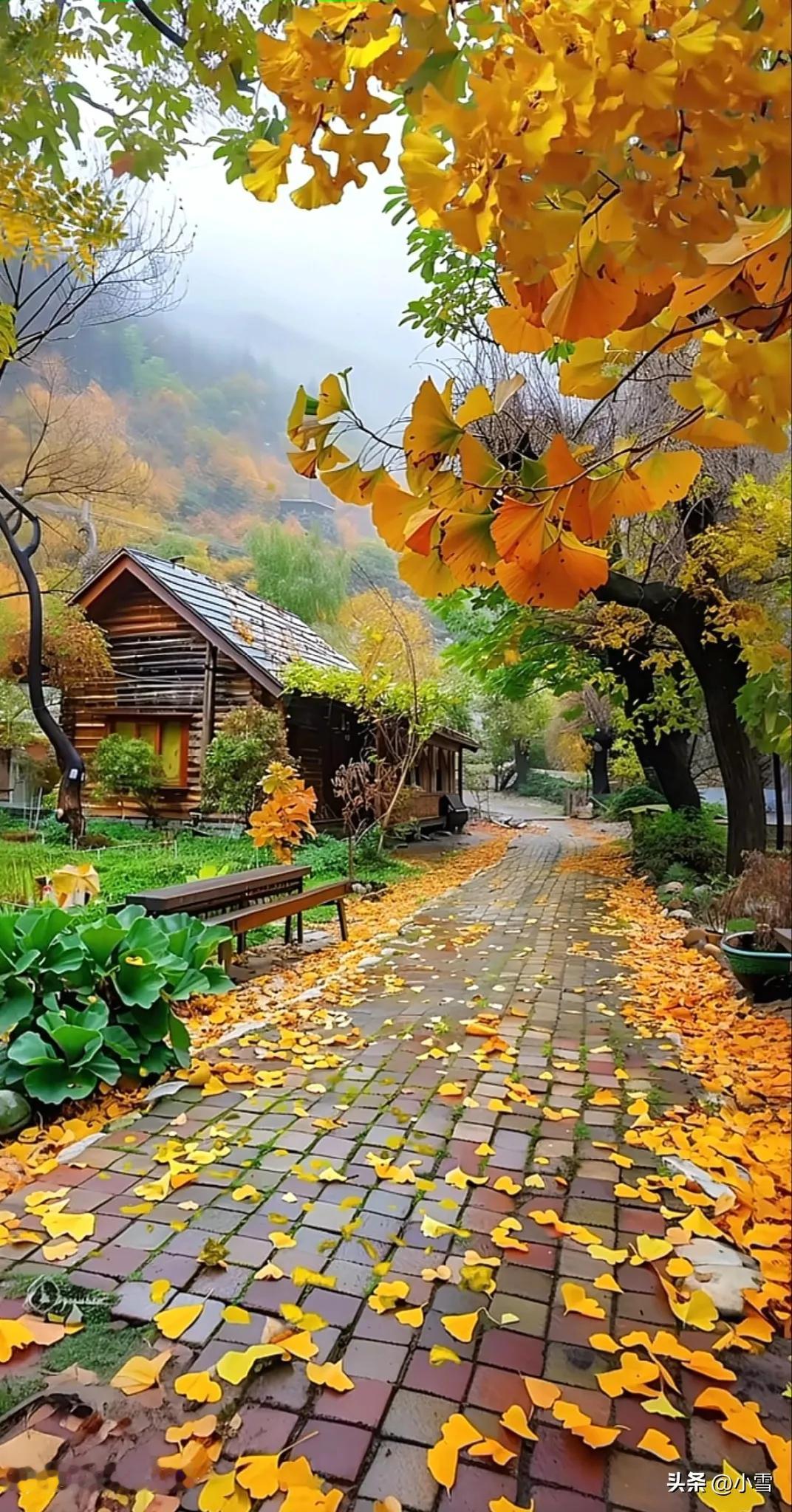 辨人识心，莫被表象迷双眼  “善者独来独往，恶人成群结队；高人讲真诚...