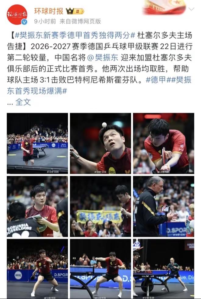 樊振东