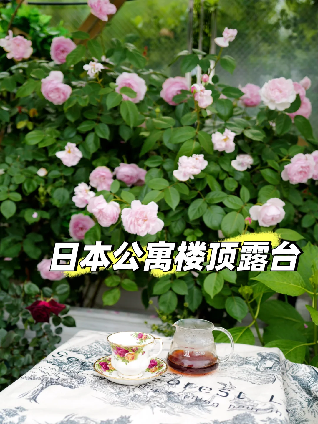 把春天搬回家｜近60㎡屋顶花园