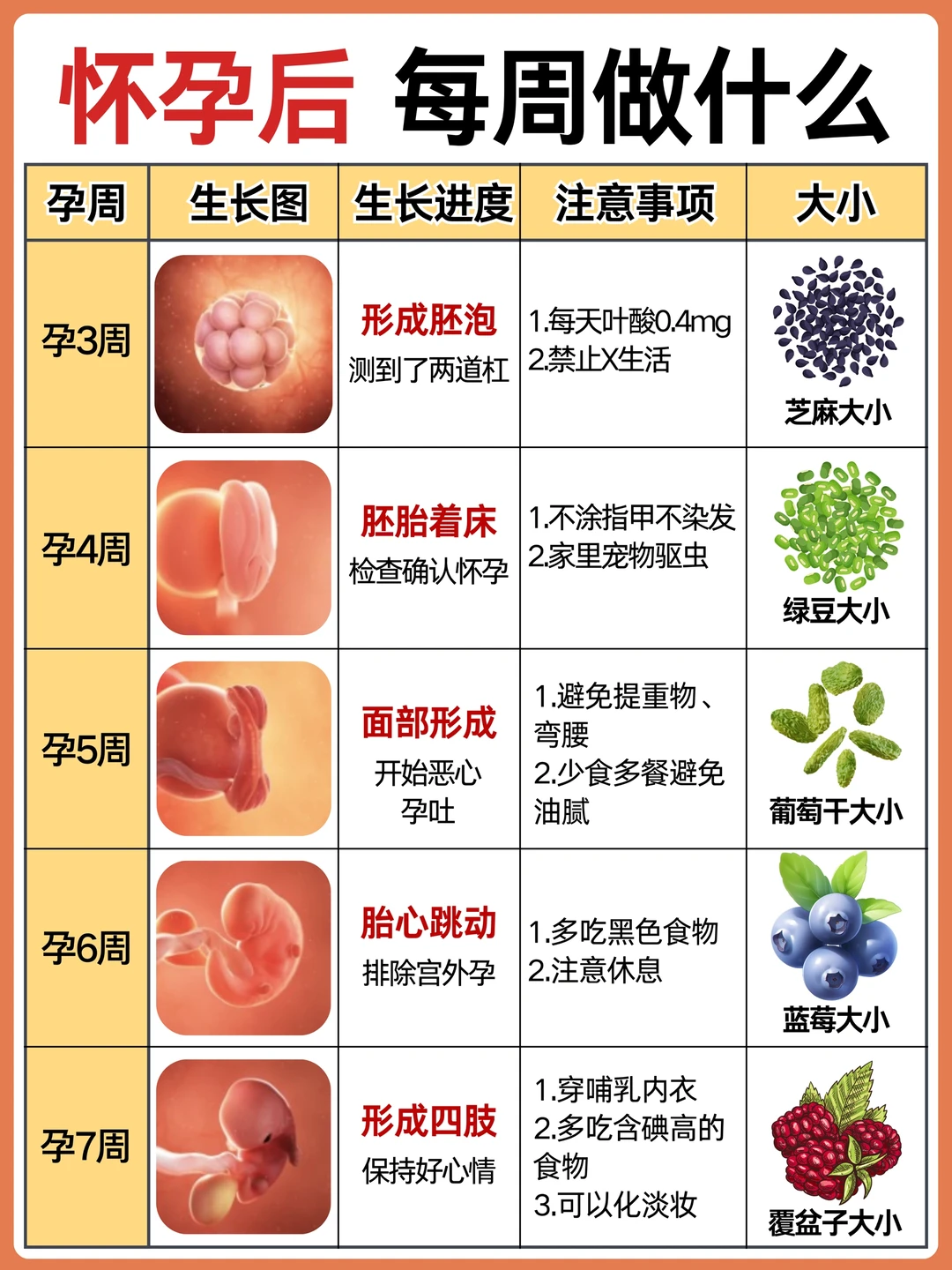 发现怀孕后每周做什么？一篇说清孕期不惊慌