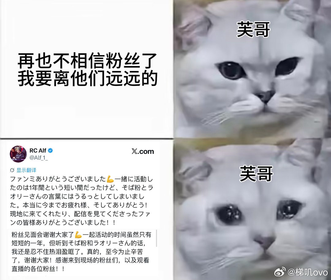 参加完见面会的🦔