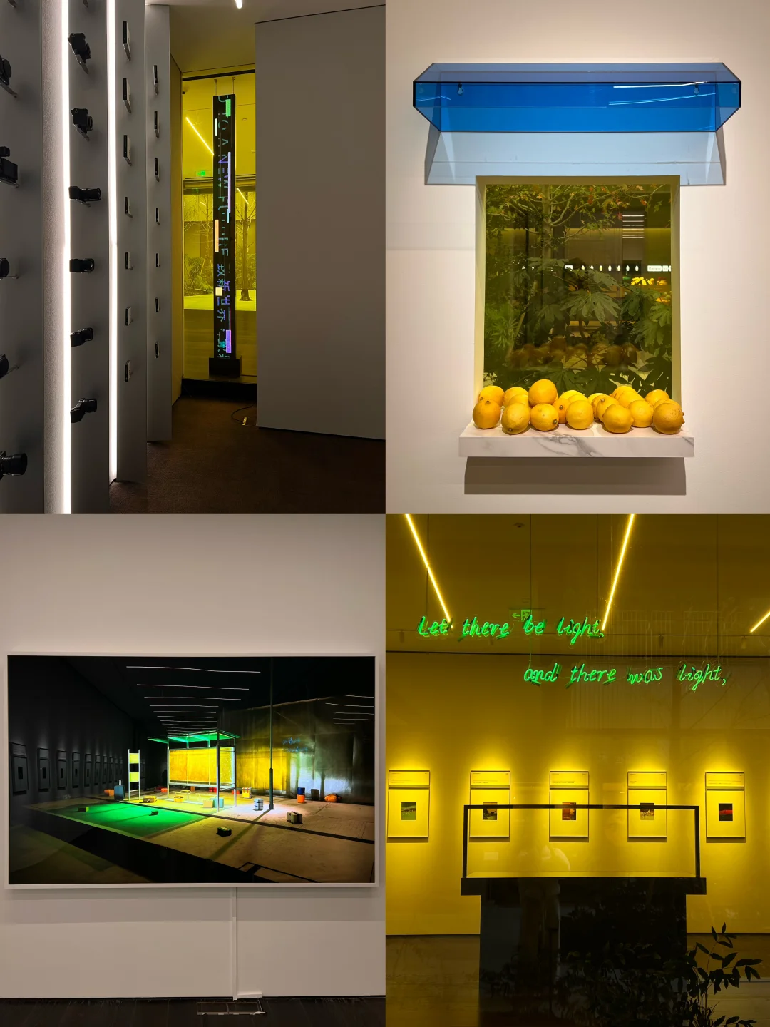 上海🆓看展｜要有光Let there be light💛💚