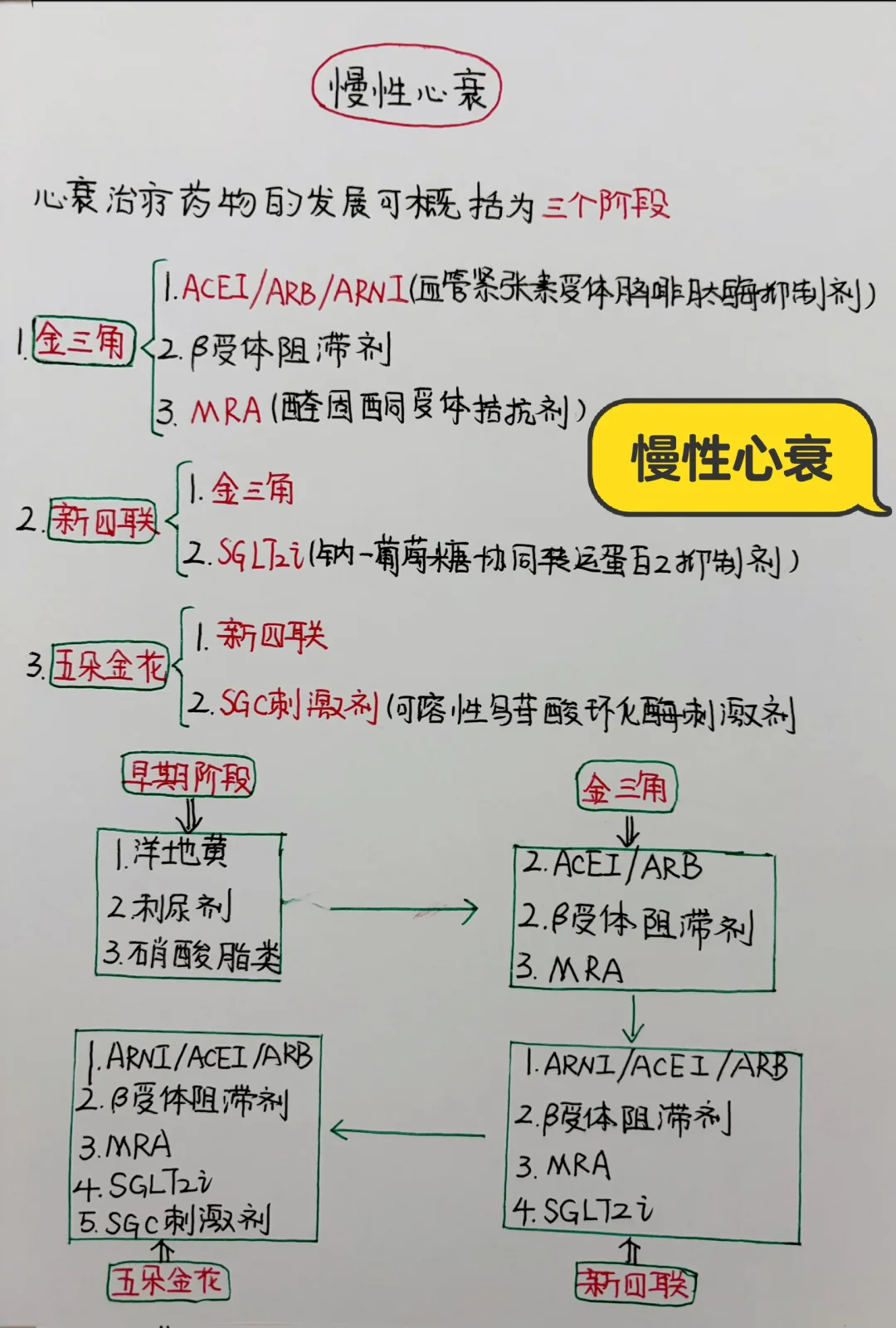 今日学习打卡——慢性心衰