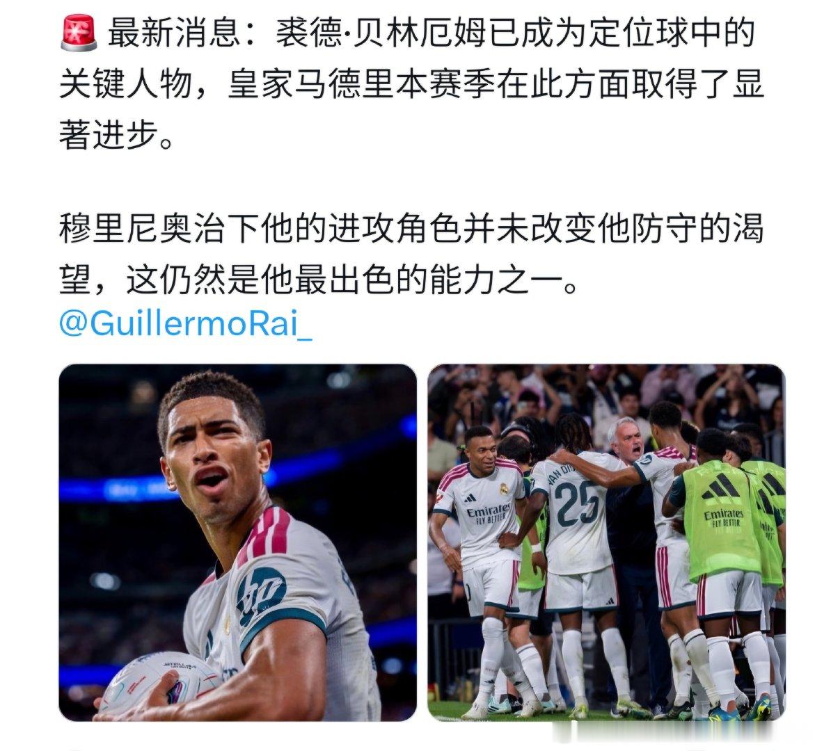 分享图片 ​