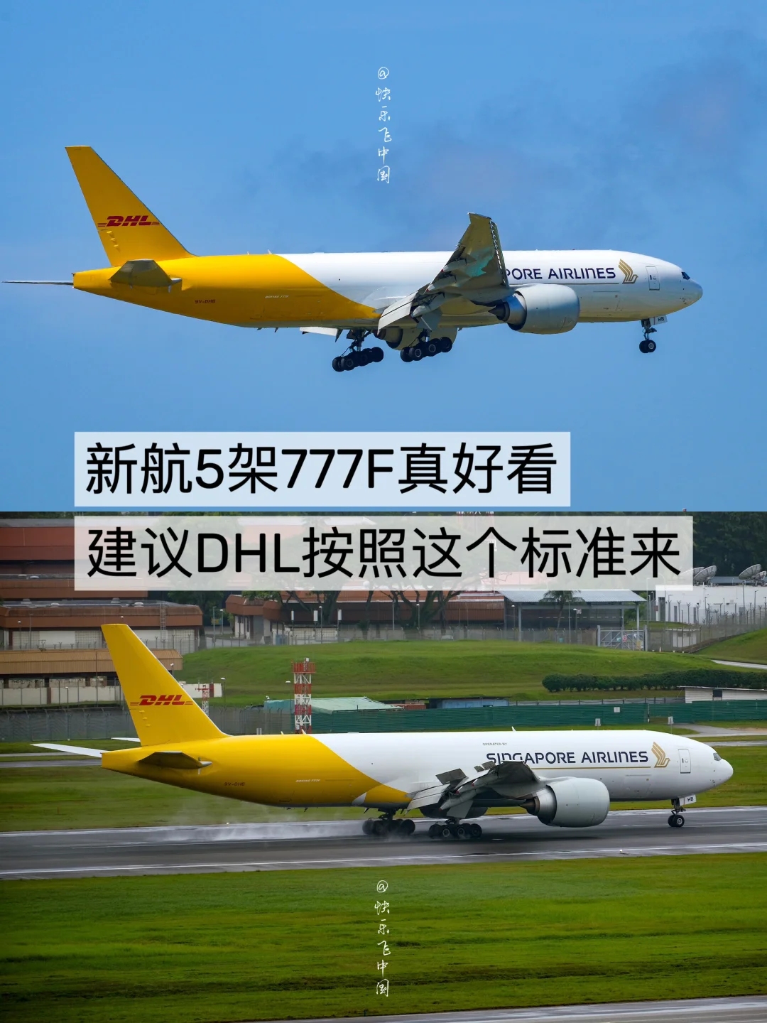新航5架777F真好看，建议DHL按照这个来❗️