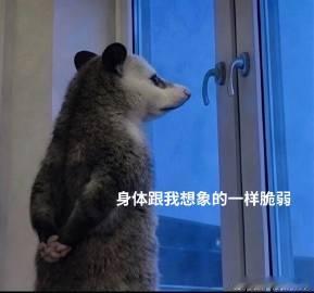 南村群童欺我老无力。