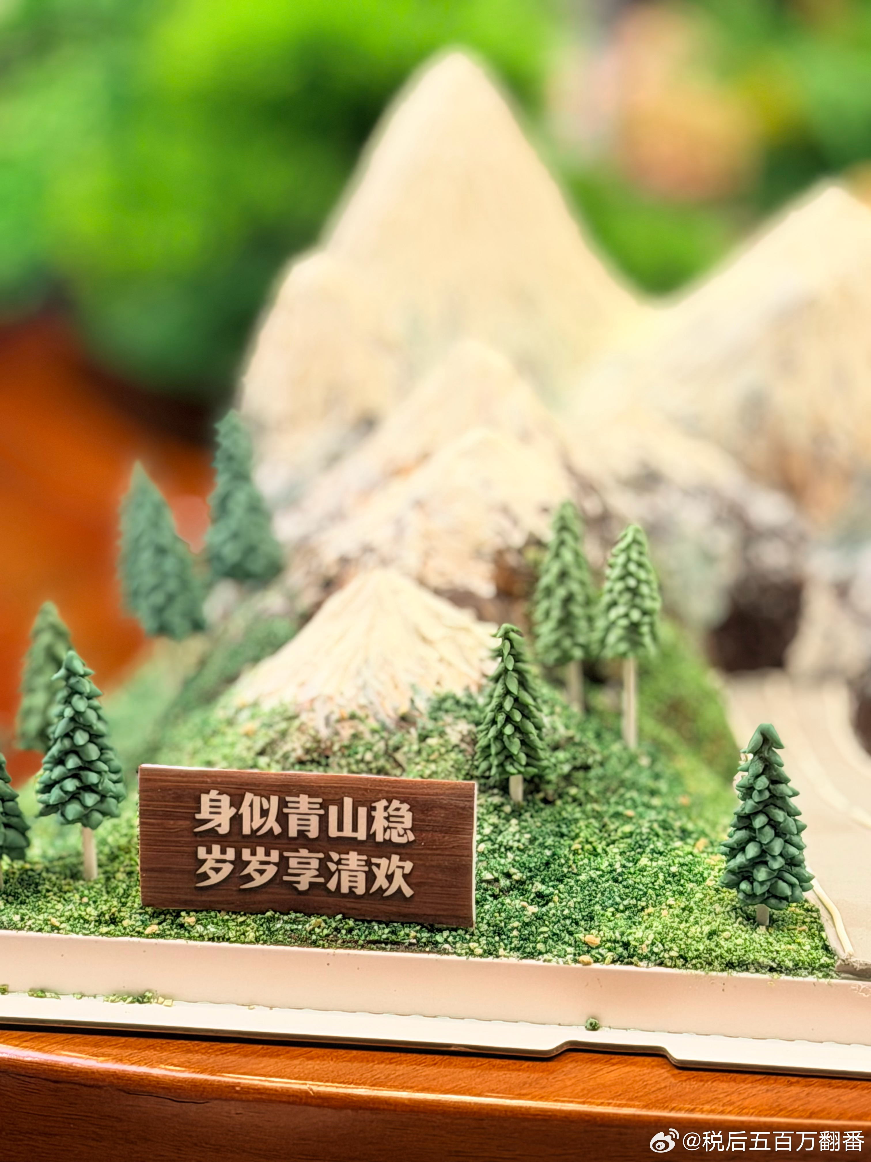 前几天和我姐商量，中午我们家不是要出去吃饭嘛，我怂恿她高铁过来吃个中饭，她心动了，立刻买好了往返票，我是一个字都没有透露给我爸妈。中午到了饭店，我妈还奇怪为什么有7张椅子，我怕她盯着我问，就一会儿说出去点菜，一会儿出去拿餐巾纸……她身边的那个位子就空着。然后我姐到了，站在门口扒着 ​