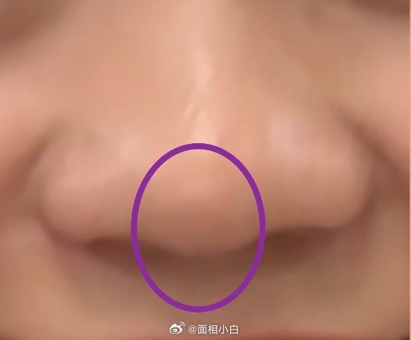 弧形鼻尖的人，典型的“老好人”性子，不爱跟人争也不爱吵架，遇到事儿大多会选择让一步，不会死较真。鼻尖下部突出的人，这类人是“有主意的硬脾气”，自己认准的事很难被别人说服，说话也是直来直去不绕弯子，偶尔会让人觉得有点“犟”。但其实心眼不坏，对家人、朋友特别实在。 ​​​