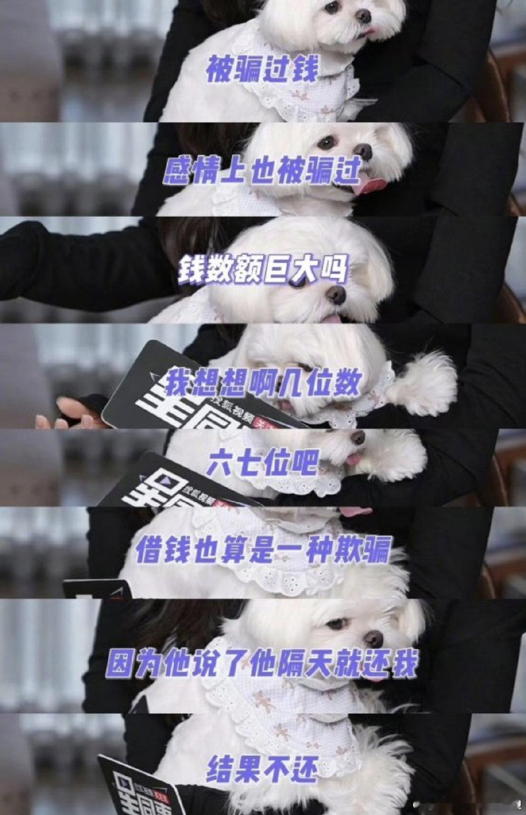 #李一桐自曝被骗金额达六七位数#“说明天就还”可能真的是借钱界最经典的一句话😂 六七位数还能借出去，说明当时是真的信任对方。最后钱没了，关系大概率也没了，难怪直接得出结论：这辈子不借钱了。#李一桐[超话]# ​