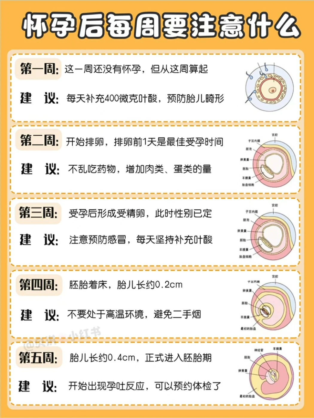 孕妈必知：怀孕1-40周注意事项‼️建议收藏